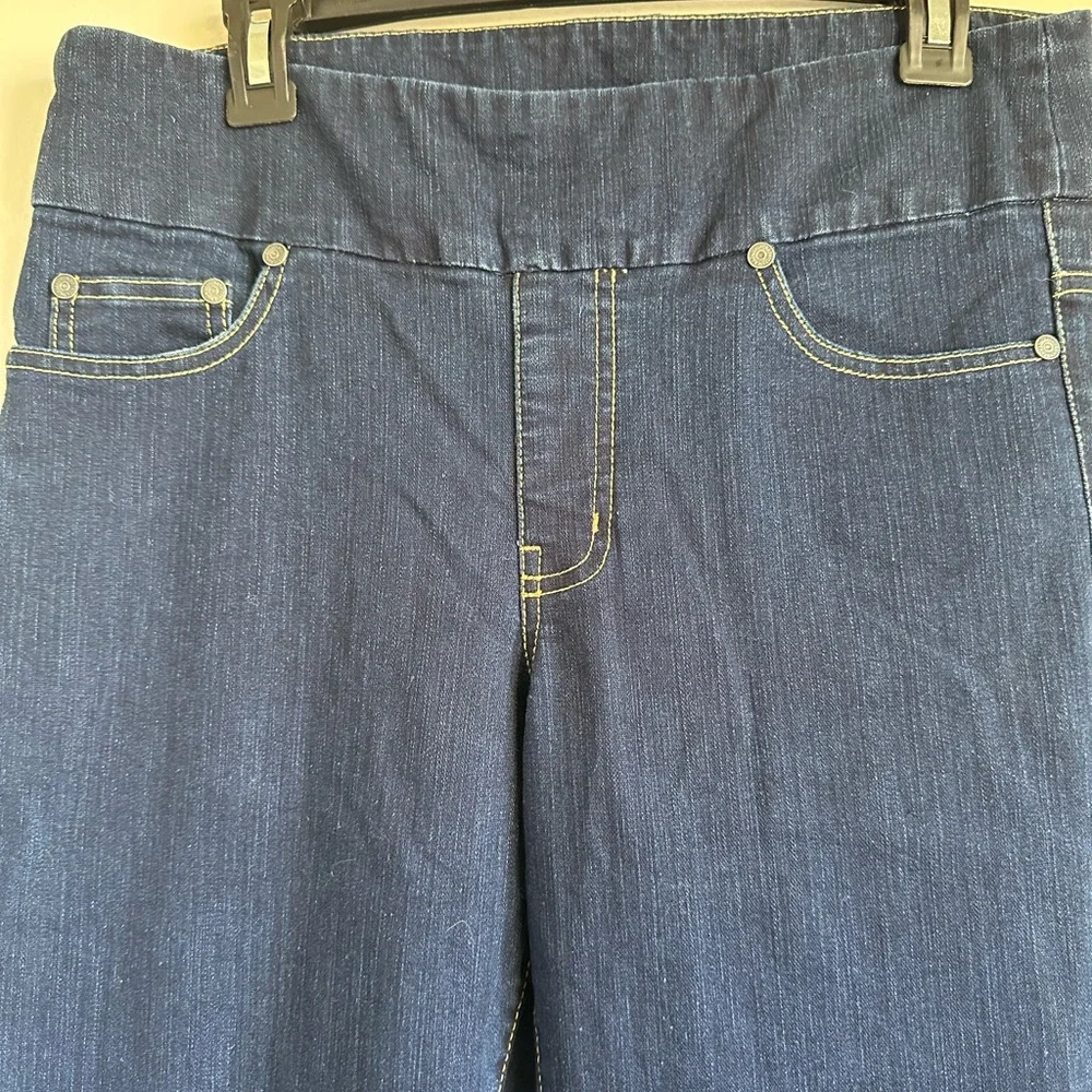Chadwicks Classic Blue Pull-up Jeans Timeless  Size 10T - Picture 2 of 6